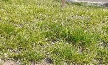 Imagem 3: TERRENO RESIDENCIAL em INDAIATUBA - SP, COLINAS DE INDAIATUBA