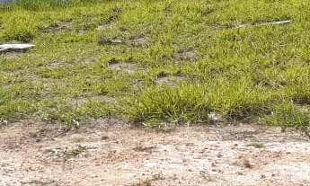 Imagem 4: TERRENO RESIDENCIAL em INDAIATUBA - SP, COLINAS DE INDAIATUBA