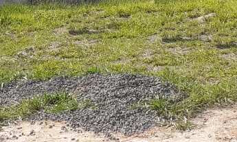 Imagem: TERRENO RESIDENCIAL em INDAIATUBA - SP