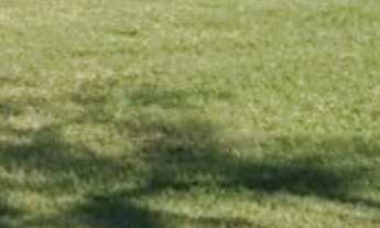 Imagem: Terreno à venda no condomínio Vale do