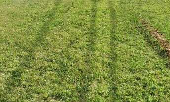 Imagem: Lindo terreno de esquina à venda no condomínio