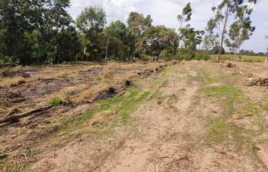 Imagem 5: CHÁCARA em VERA CRUZ - SP, ZONA RURAL