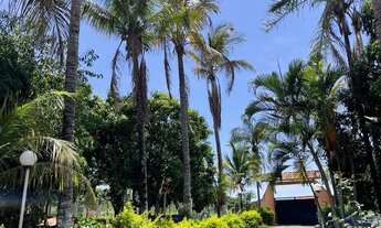 Imagem 2: CHACARA RURAL em Marília - SP, Três lagos