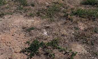 Imagem: TERRENO RESIDENCIAL em MARILIA - SP, Condomínio