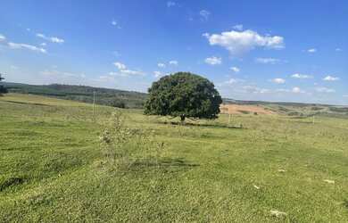 Imagem 5: SITIO 0 em Vera Cruz - SP, Zona rural - Vera Cruz