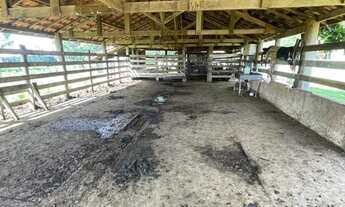 Imagem 2: FAZENDA RURAL em MARÍLIA - SP, ÁREA RURAL DE MARÍLIA