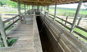Imagem 6: FAZENDA RURAL em MARÍLIA - SP, ÁREA RURAL DE MARÍLIA