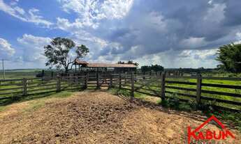 Imagem 5: FAZENDA RURAL em MARÍLIA - SP, ÁREA RURAL DE MARÍLIA