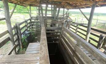 Imagem 7: FAZENDA RURAL em MARÍLIA - SP, ÁREA RURAL DE MARÍLIA