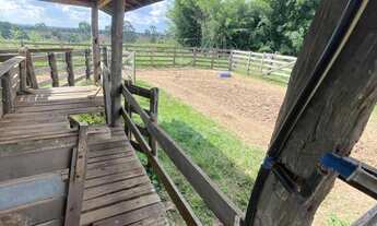 Imagem 4: FAZENDA RURAL em MARÍLIA - SP, ÁREA RURAL DE MARÍLIA