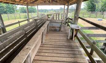 Imagem 3: FAZENDA RURAL em MARÍLIA - SP, ÁREA RURAL DE MARÍLIA