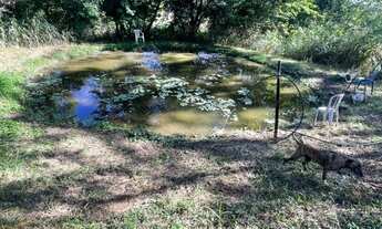 Imagem 4: SITIO RESIDENCIAL em MARÍLIA - SP, ÁREA RURAL DE MARÍLIA