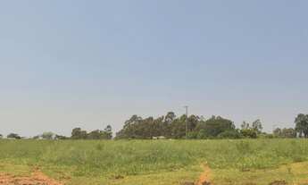 Imagem 6: FAZENDA RURAL em Garça - SP, ZONA RURAL (GARÇA/SP