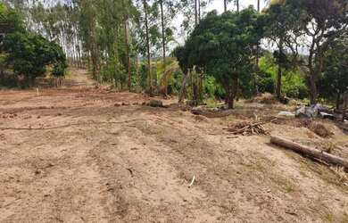 Imagem 2: CHÁCARA em VERA CRUZ - SP, ZONA RURAL