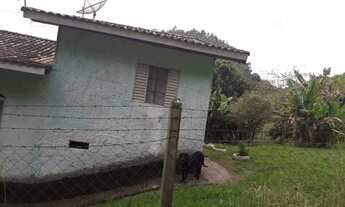 Imagem 5: Fazenda de 61 Alqueires com 160 mil pés Eucalipto