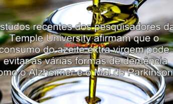 Imagem 5: Fazenda com 3000 pés de Oliveiras e 4000 pés de Café