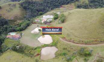 Imagem 2: Fazenda de 100 Alqueires pra gado e Leite Rica em Água
