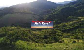 Imagem 3: Fazenda pra gado e Leite