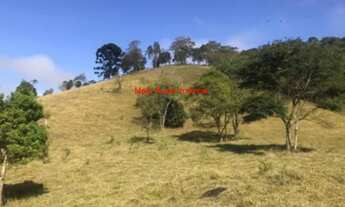 Imagem 6: Sítio de 10 Alqueires Próximo a SFXAVIER