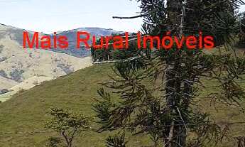 Imagem 6: Sitio com Cachoeira e Vista exuberante