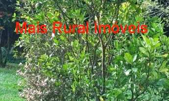 Imagem 4: Linda Chácara a Venda SJC ( Zona Norte