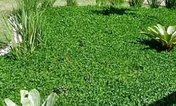 Imagem 6: APARTAMENTO RESIDENCIAL em RIO DE JANEIRO - RJ, CAMPO GRANDE