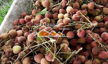 Imagem 4: FAZENDA RESIDENCIAL em ESMERALDAS - MG, padre joao