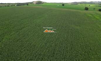 Imagem: FAZENDA RURAL em BOM DESPACHO - MG, bom