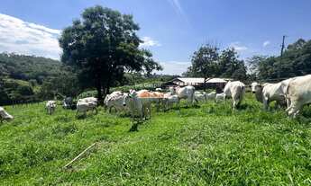Imagem 6: FAZENDA RURAL em ESMERALDAS - MG, FORMIGA