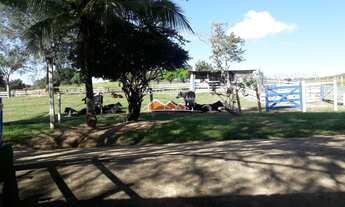 Imagem 7: FAZENDA INDUSTRIAL em Esmeraldas - MG, Urucuia