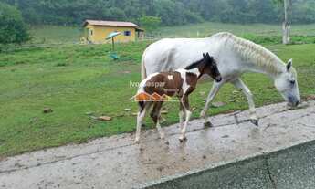 Imagem 5: FAZENDA INDUSTRIAL em Esmeraldas - MG, Urucuia