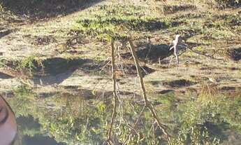 Imagem 3: TERRENO RURAL em ESMERALDAS - MG, PROXIMO AO CASARAO SANTO ANTONIO