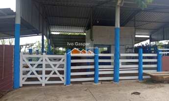 Imagem: FAZENDA RURAL em Esmeraldas - MG, ANDIROBA