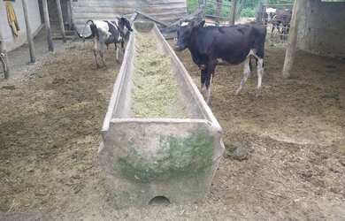 Imagem 7: FAZENDA RESIDENCIAL em Esmeraldas - MG, Riacho