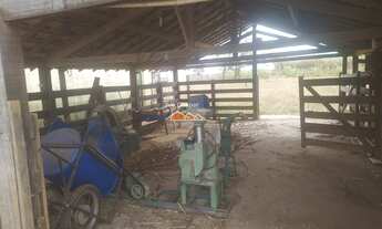 Imagem 5: FAZENDA RURAL em LEANDRO FERREIRA - MG, leandro ferreira