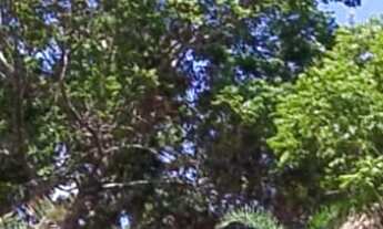 Imagem: LOTE RESIDENCIAL em PRAIA DO FORTE - BA