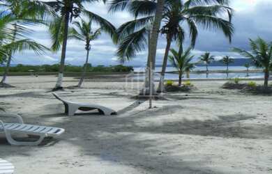 Imagem 5: Ilha para venda no Rio Paraguaçu, Recôncavo Baiano