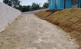 Imagem 5: CHACARA RURAL em MAIRINQUE - SP, moreiras