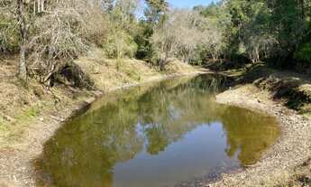 Imagem 6: Sítio a venda em Mairinque