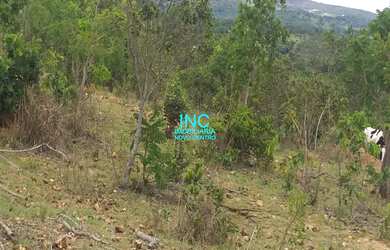 Imagem 6: TERRENO RURAL em JABOTICATUBAS - MG, BAMBURAL