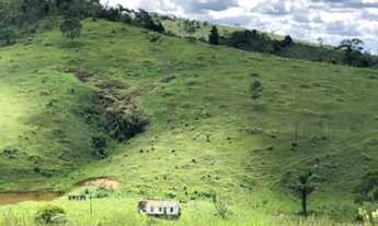 Imagem 8: Excelente Fazenda Produtiva Região Sul - Itagibá - Bahia