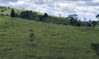 Imagem 3: Excelente Fazenda Produtiva Região Sul - Itagibá - Bahia