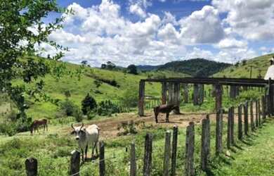 Imagem 6: Excelente Fazenda Produtiva Região Sul - Itagibá - Bahia