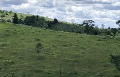 Imagem 2: Excelente Fazenda Produtiva Região Sul - Itagibá - Bahia