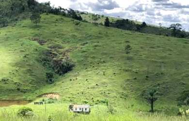 Imagem 15: Excelente Fazenda Produtiva Região Sul - Itagibá - Bahia