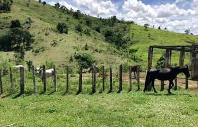 Imagem 16: Excelente Fazenda Produtiva Região Sul - Itagibá - Bahia