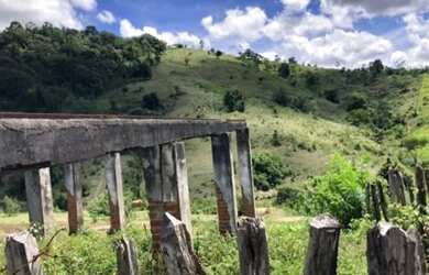 Imagem 9: Excelente Fazenda Produtiva Região Sul - Itagibá - Bahia