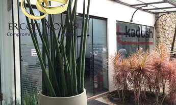 Imagem: SALA COMERCIAL em São Paulo - SP, Lapa