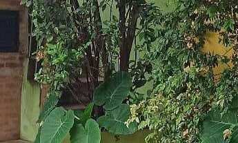 Imagem 4: SITIO COMERCIAL em MÁRIO CAMPOS - MG, R$650.000,00//Bela vista