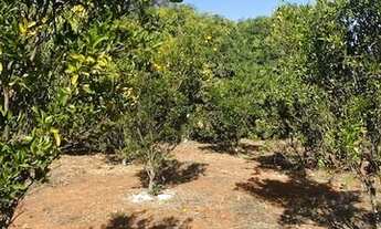 Imagem 6: SITIO RESIDENCIAL em PEDRO LEOPOLDO - MG, R$2.000.000,00 // Quinta do Sumidouro